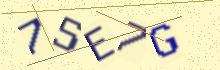 Codice di verifica
